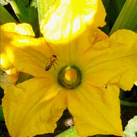 Meet your Posher, Magan - Picture 1 of 1